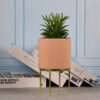 Modern Matte Ceramic Planter Pot With Gold Metal Stand