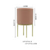 Modern Matte Ceramic Planter Pot With Gold Metal Stand - Image 3